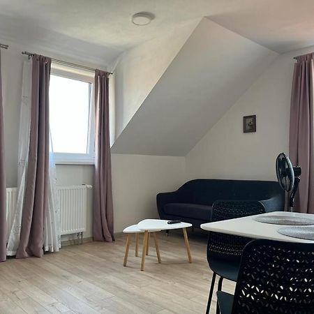Sabina Apartaments Sfantu Gheorghe  Ngoại thất bức ảnh