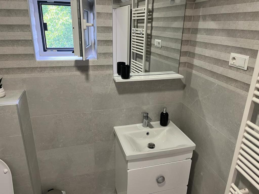 Sabina Apartaments Sfantu Gheorghe  Ngoại thất bức ảnh