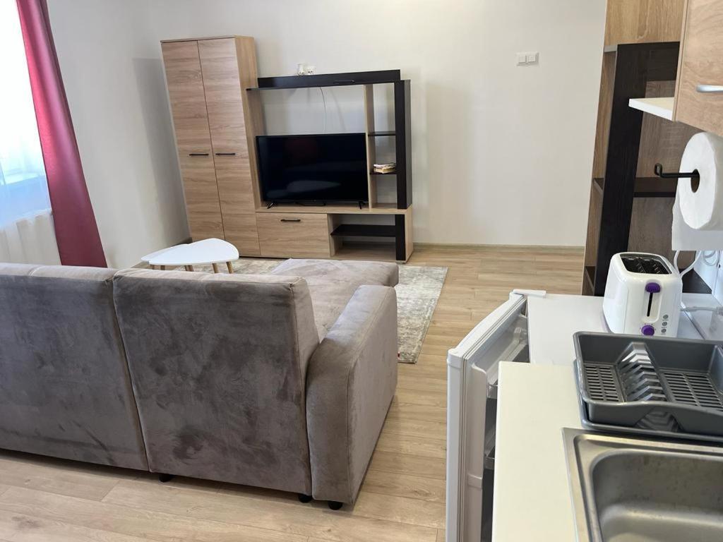 Sabina Apartaments Sfantu Gheorghe  Ngoại thất bức ảnh