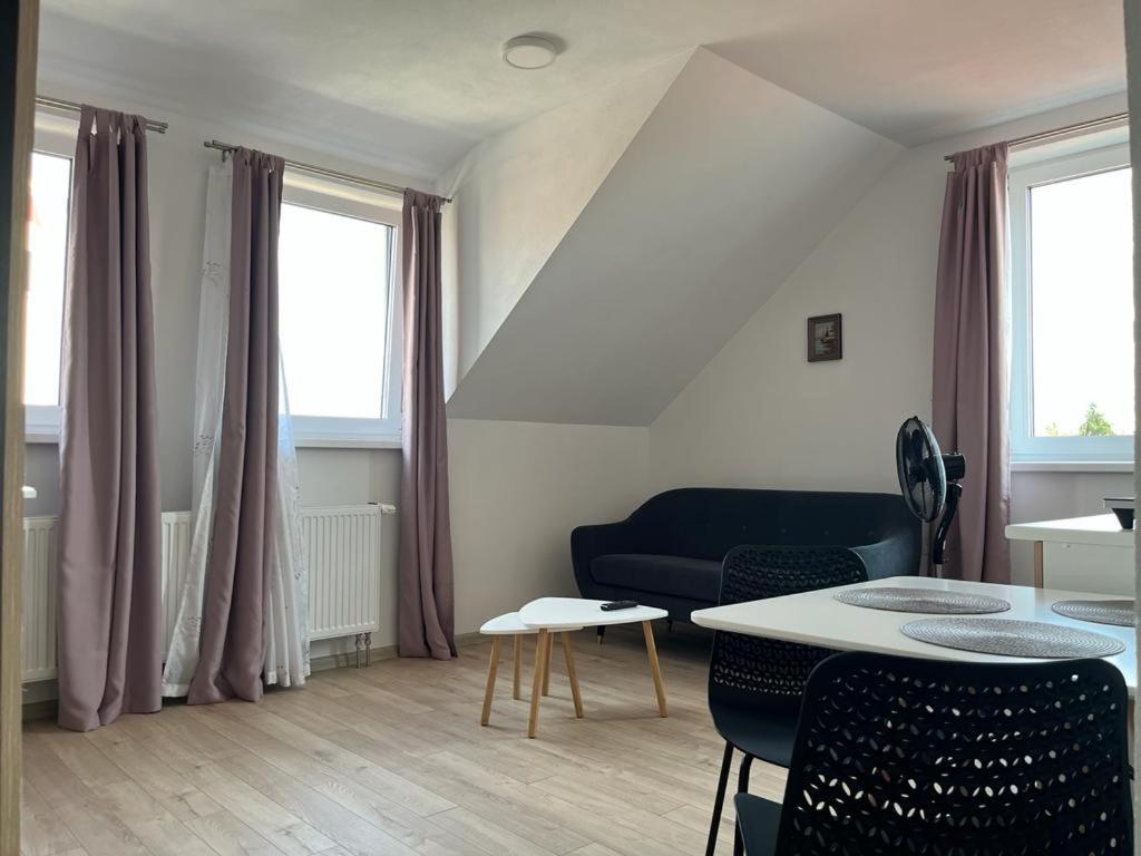 Sabina Apartaments Sfantu Gheorghe  Ngoại thất bức ảnh