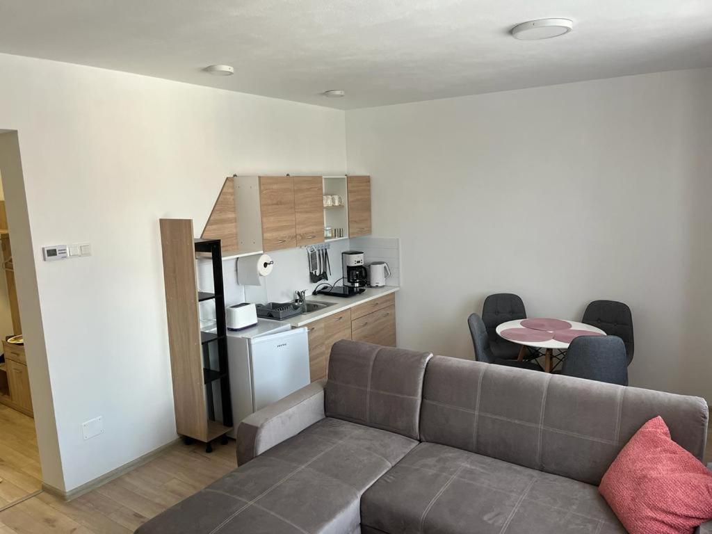 Sabina Apartaments Sfantu Gheorghe  Ngoại thất bức ảnh