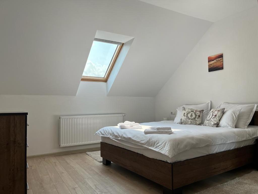 Sabina Apartaments Sfantu Gheorghe  Ngoại thất bức ảnh