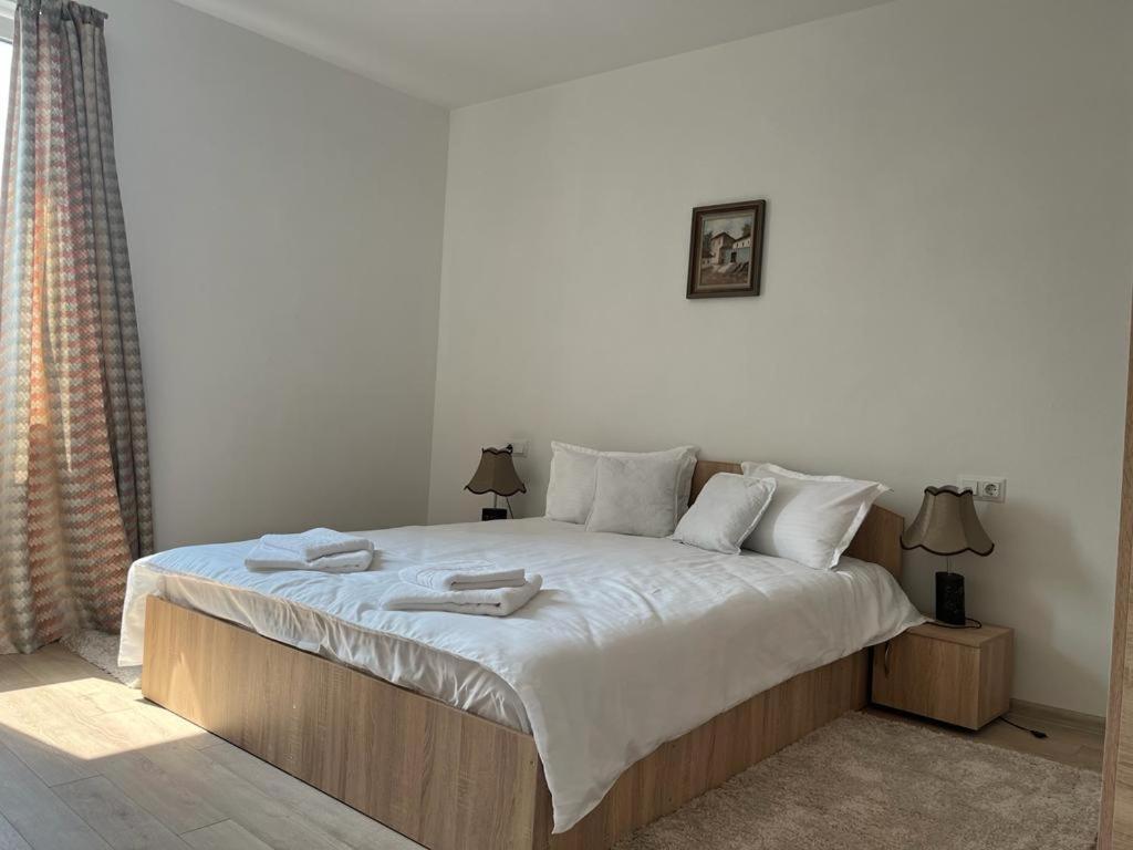 Sabina Apartaments Sfantu Gheorghe  Ngoại thất bức ảnh