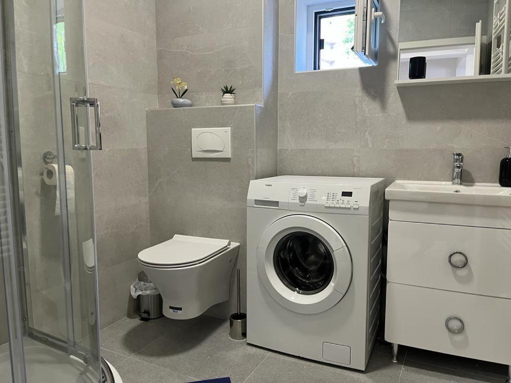 Sabina Apartaments Sfantu Gheorghe  Ngoại thất bức ảnh