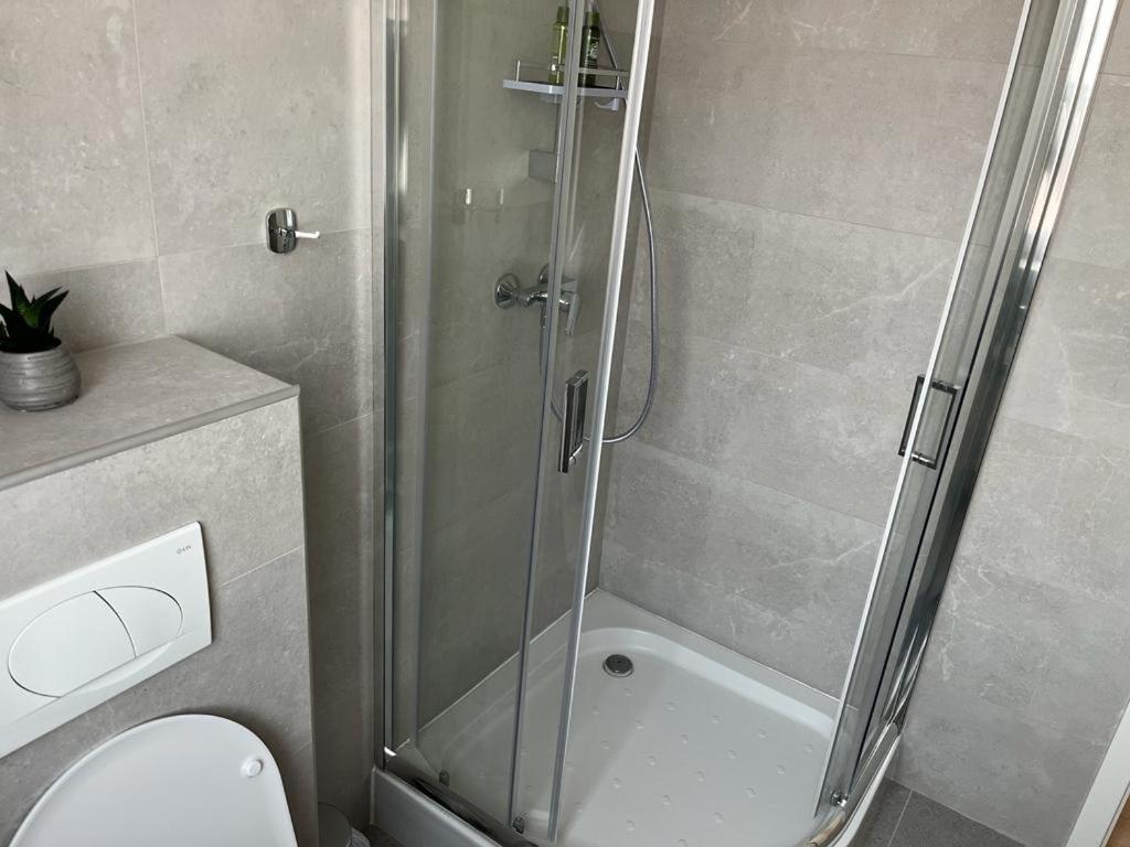 Sabina Apartaments Sfantu Gheorghe  Ngoại thất bức ảnh