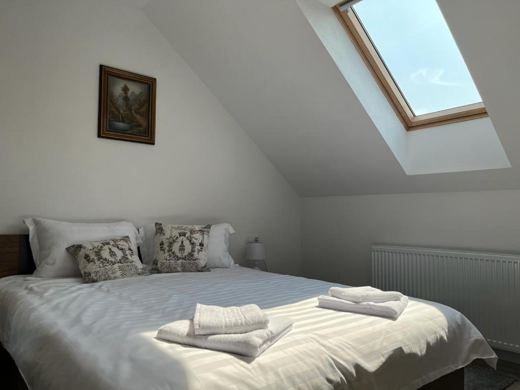 Sabina Apartaments Sfantu Gheorghe  Ngoại thất bức ảnh