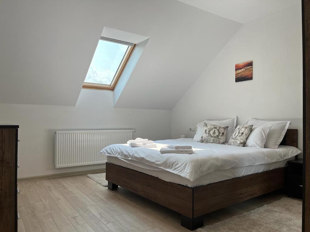Sabina Apartaments Sfantu Gheorghe  Ngoại thất bức ảnh