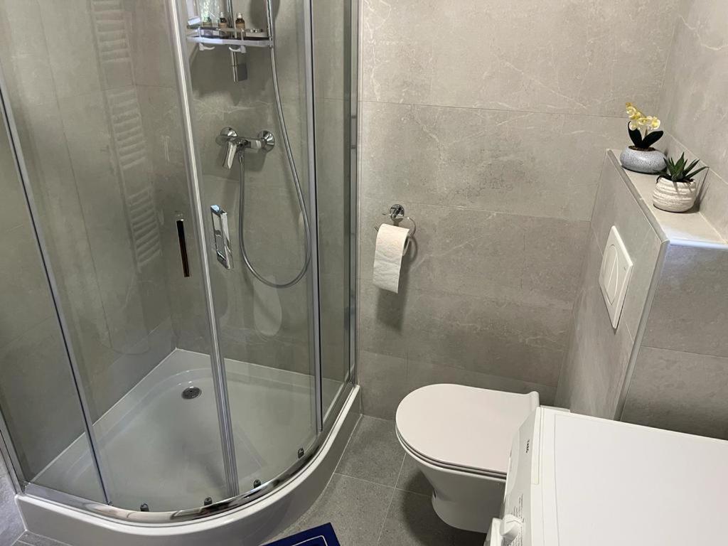 Sabina Apartaments Sfantu Gheorghe  Ngoại thất bức ảnh