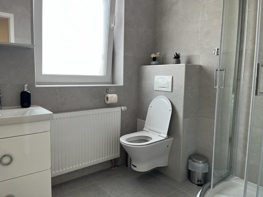 Sabina Apartaments Sfantu Gheorghe  Ngoại thất bức ảnh